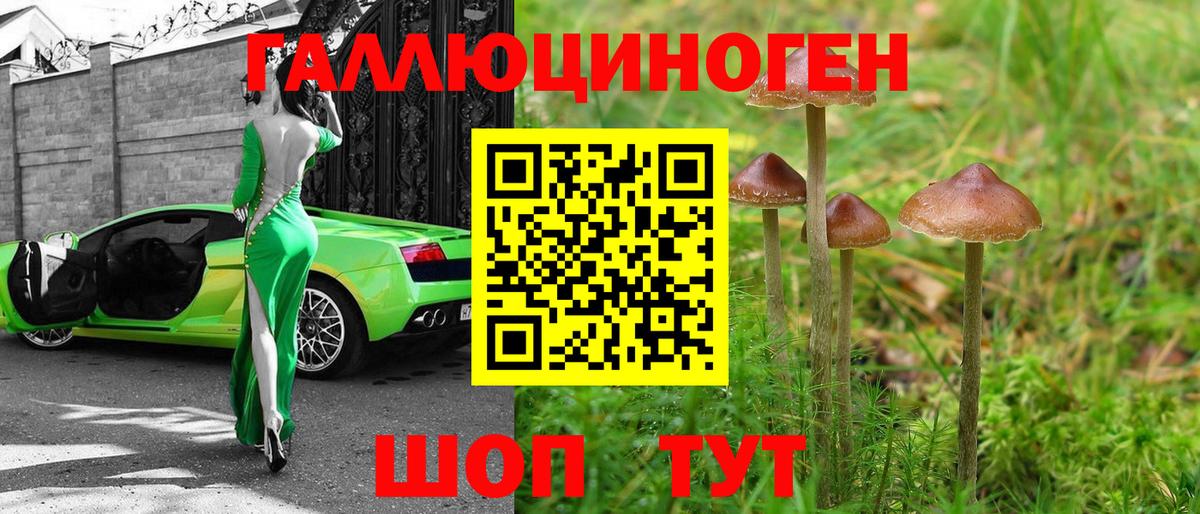 Псилоцибиновые грибы ЛСД  Псилоцибиновые грибы MAGIC MUSHROOMS  Курчатов  Вход с VPN 