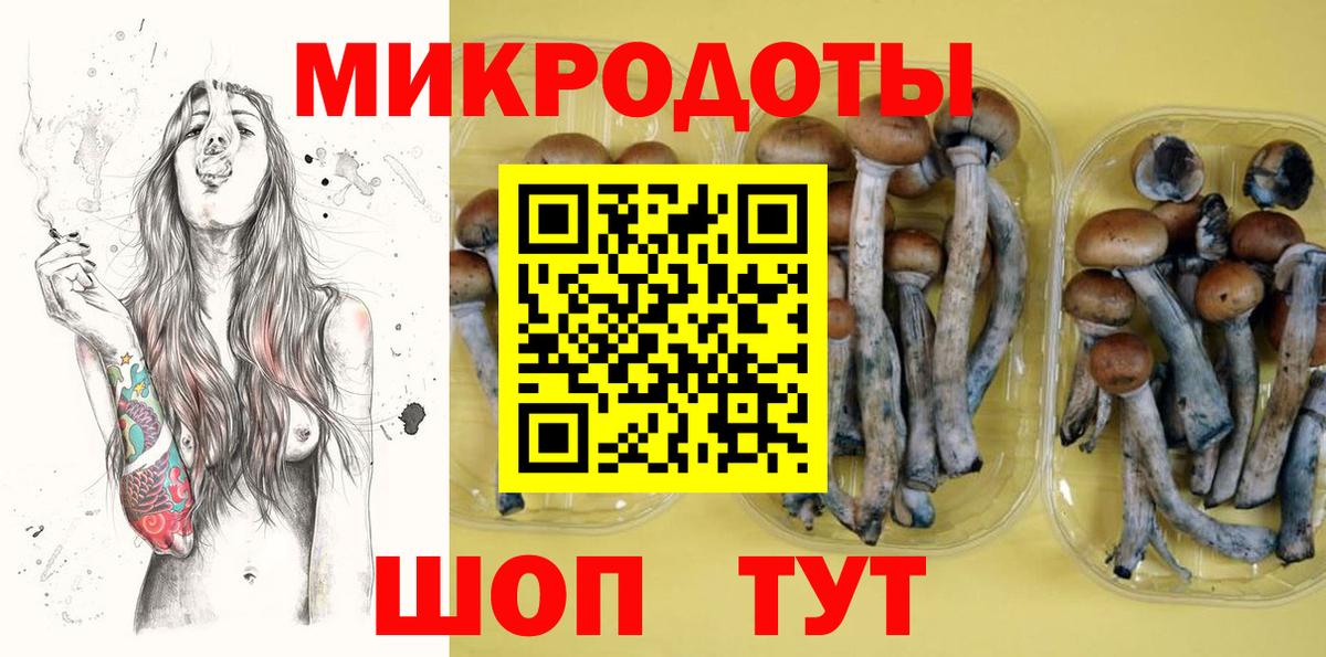 Псилоцибиновые грибы GOLDEN TEACHER Курчатов
