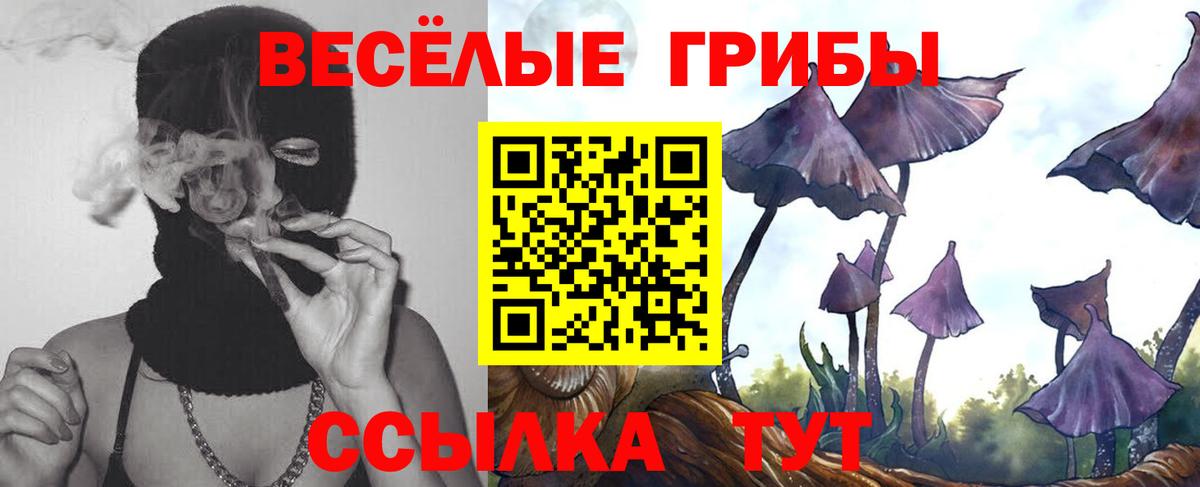 Псилоцибиновые грибы Курчатов